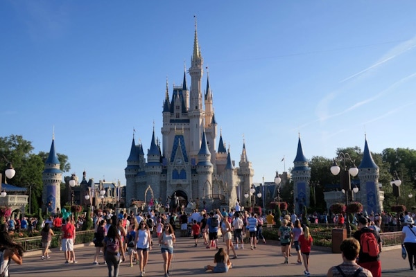 Disney World - The Castle
