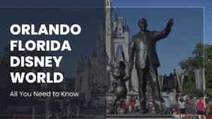 Disney World - Visit The Magic Kingdom with a BNPL Service